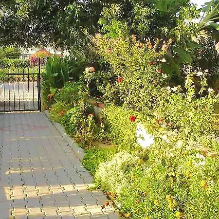 Timelettings Palm Beach Fethiye